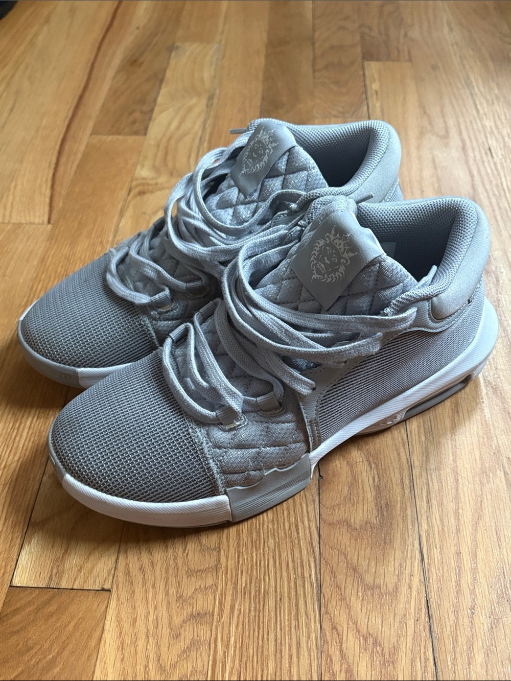 Nike LeBron Witness 8